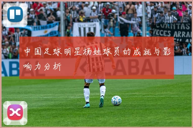 中国足球明星杨姓球员的成就与影响力分析