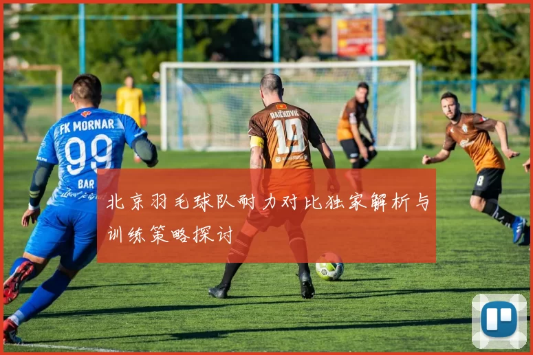 北京羽毛球队耐力对比独家解析与训练策略探讨
