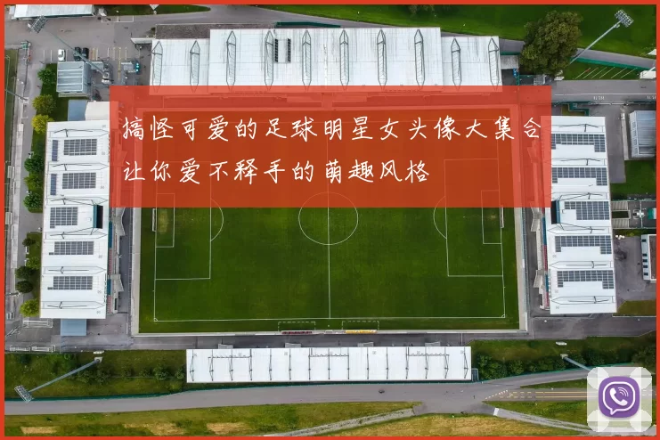 搞怪可爱的足球明星女头像大集合让你爱不释手的萌趣风格