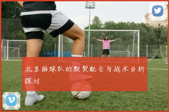 北京排球队的默契配合与战术分析探讨