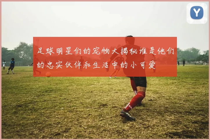 足球明星们的宠物大揭秘谁是他们的忠实伙伴和生活中的小可爱