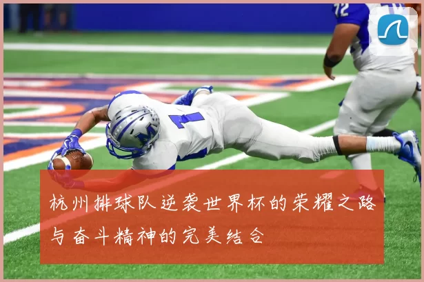 杭州排球队逆袭世界杯的荣耀之路与奋斗精神的完美结合