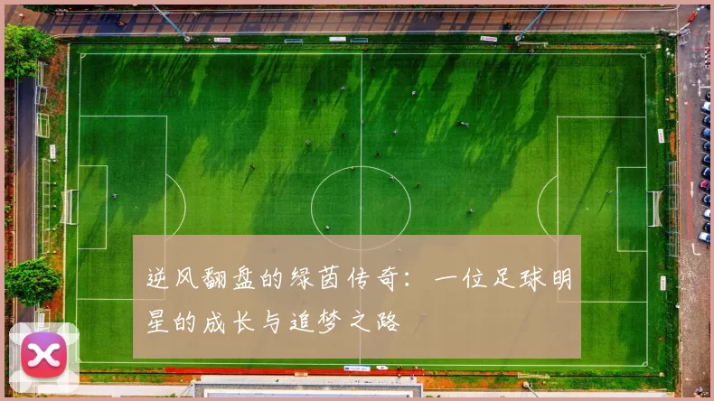 逆风翻盘的绿茵传奇：一位足球明星的成长与追梦之路