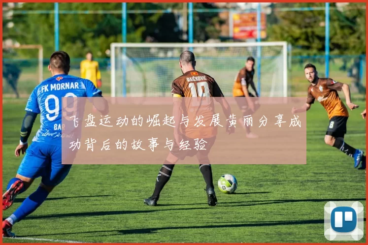 飞盘运动的崛起与发展黄丽分享成功背后的故事与经验
