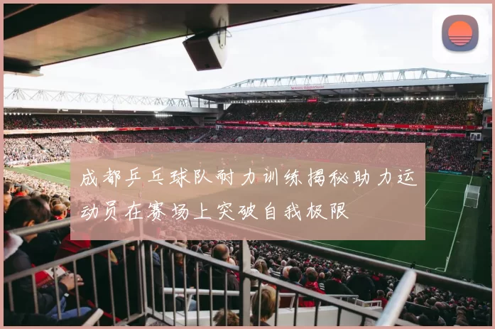 成都乒乓球队耐力训练揭秘助力运动员在赛场上突破自我极限