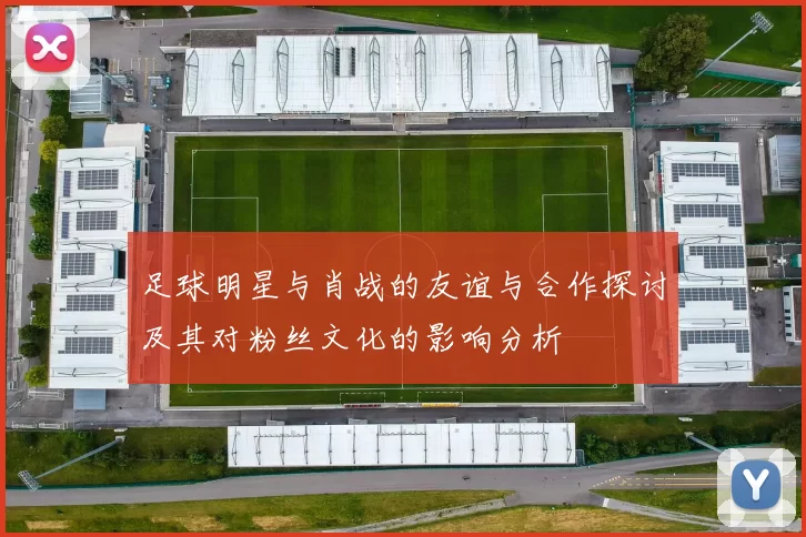 足球明星与肖战的友谊与合作探讨及其对粉丝文化的影响分析