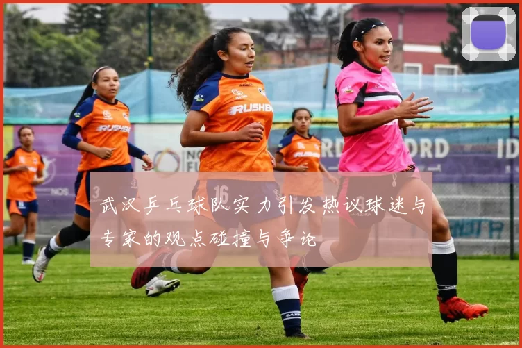武汉乒乓球队实力引发热议球迷与专家的观点碰撞与争论