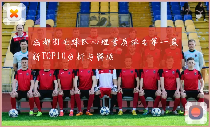 成都羽毛球队心理素质排名第一最新TOP10分析与解读