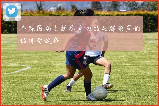 在绿茵场上拼尽全力的足球明星们的传奇故事
