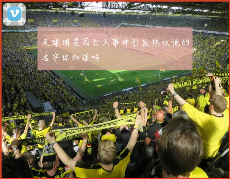 足球明星因打人事件引发热议他的名字你知道吗