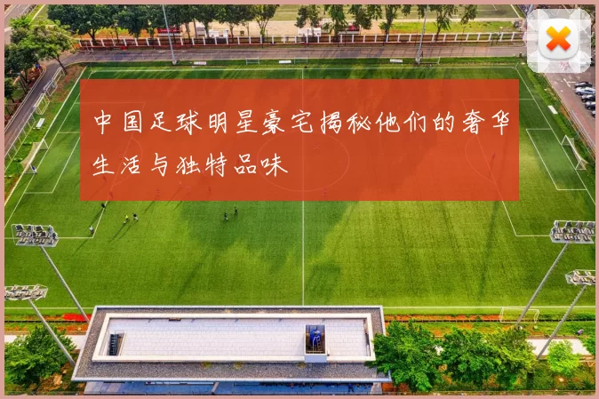 中国足球明星豪宅揭秘他们的奢华生活与独特品味