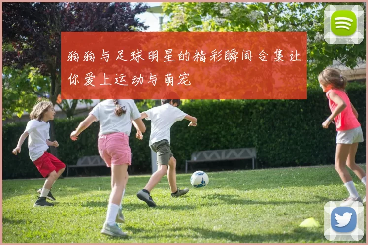 狗狗与足球明星的精彩瞬间合集让你爱上运动与萌宠