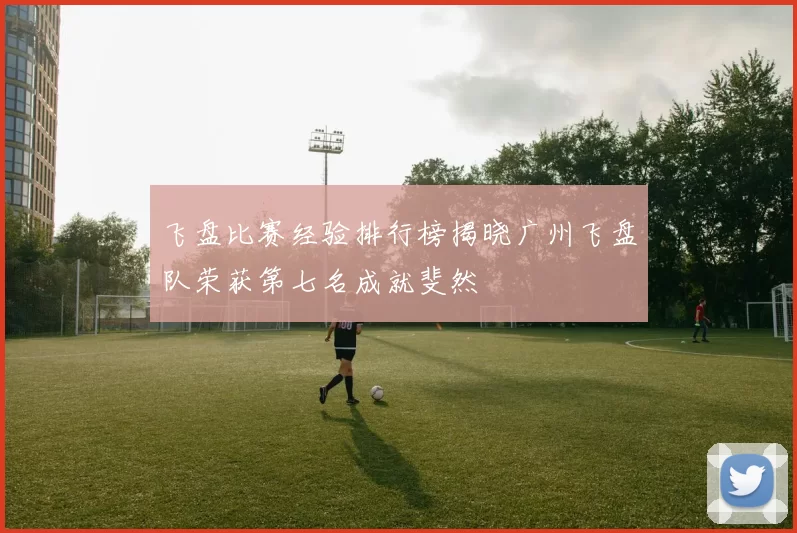 飞盘比赛经验排行榜揭晓广州飞盘队荣获第七名成就斐然