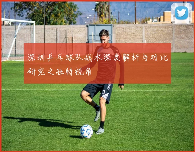 深圳乒乓球队战术深度解析与对比研究之独特视角