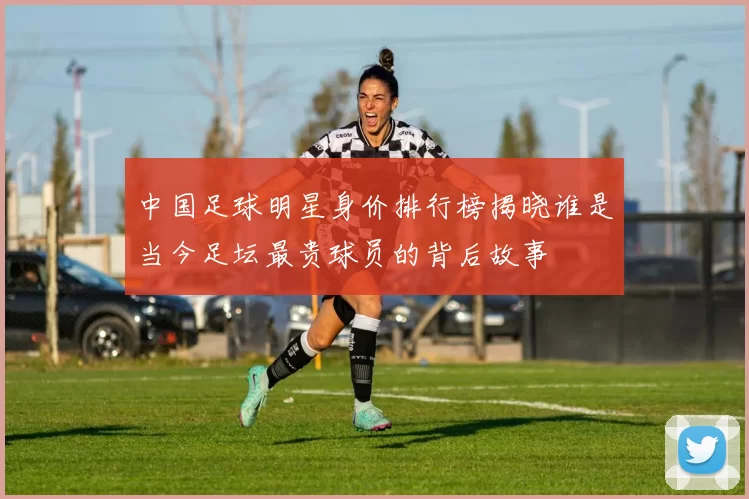 中国足球明星身价排行榜揭晓谁是当今足坛最贵球员的背后故事