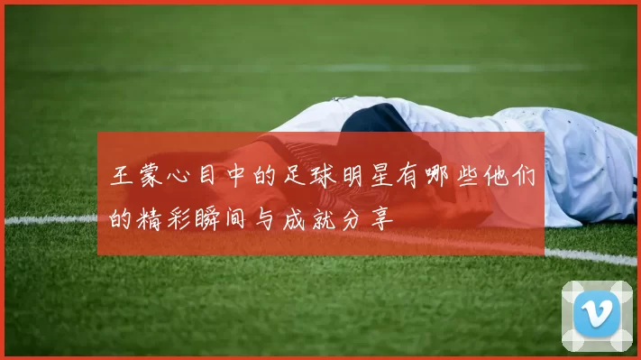 王蒙心目中的足球明星有哪些他们的精彩瞬间与成就分享