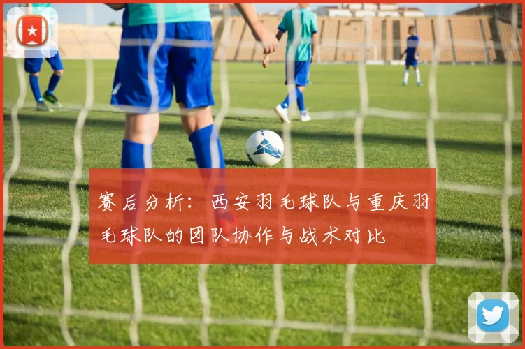 赛后分析：西安羽毛球队与重庆羽毛球队的团队协作与战术对比
