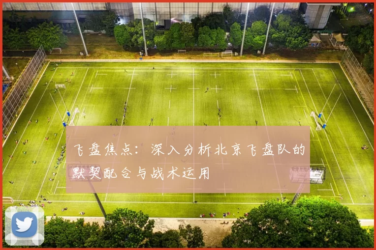 飞盘焦点：深入分析北京飞盘队的默契配合与战术运用