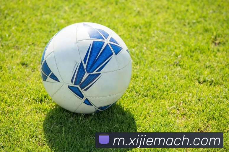 国际认证